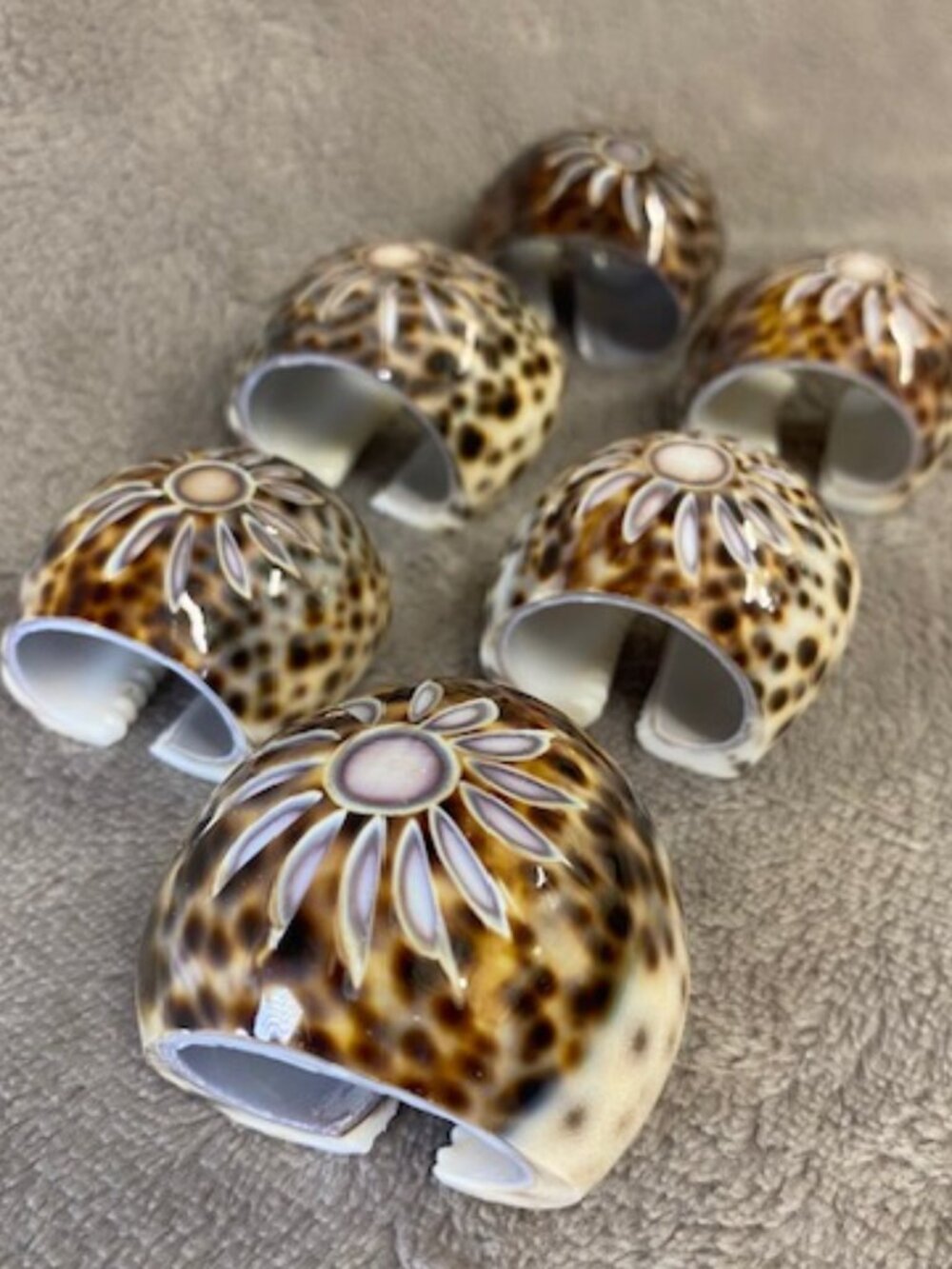 Vintage Tiger Cowrie (Shell) Napkin Rings. Set of 6. Sunburst/ Flower pattern